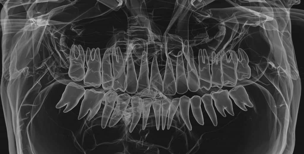 3d rendering of human teeth
