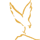 eagle rock dental care